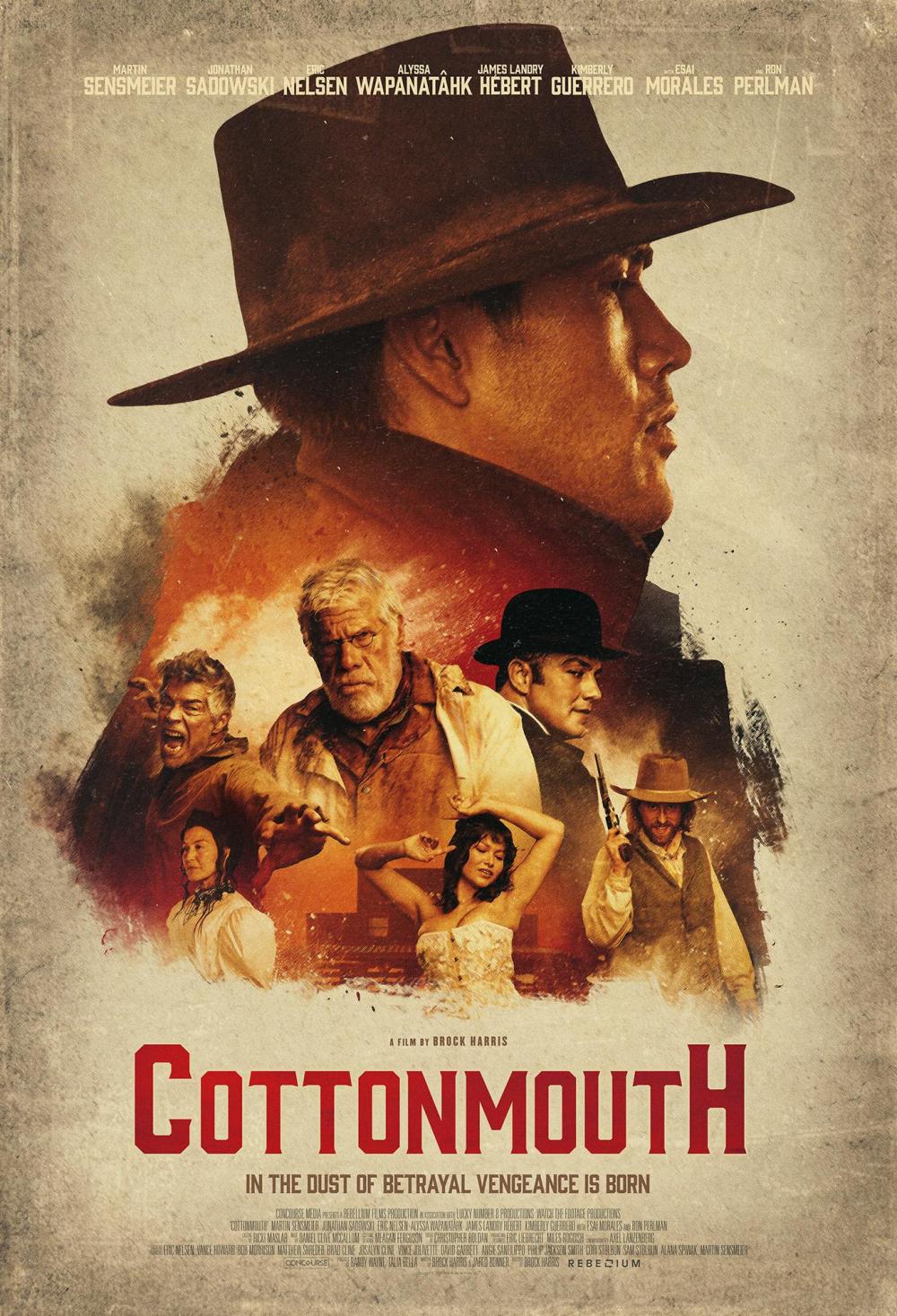 Cottonmouth.2025.1080p.tc.WEB-DL.H264.AC3-AOC.mkv Shared by Kenneth_Venable